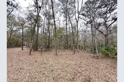 7875 SW County Road 344, Bell, FL 32619 - Photo 2