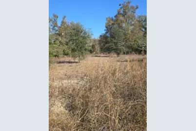 79th Lane, Trenton, FL 32693 - Photo 6