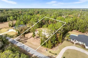 12364 SW 16th Ln, Newberry, FL 32669 - Photo 14