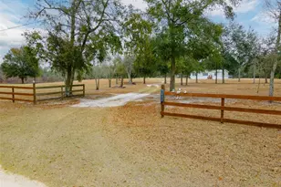 5431 163rd Path, Live Oak, FL 32060 - Photo 12