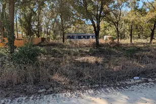 7177 SE 77th Ln, Trenton, FL 32693 - Photo 1