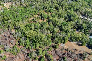 998 SW Spruce Rd, Fort White, FL 32038 - Photo 26