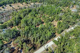 998 SW Spruce Rd, Fort White, FL 32038 - Photo 24