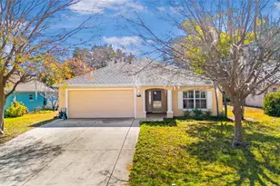 10314 Patrick Dr, Leesburg, FL 34788 - Photo 2