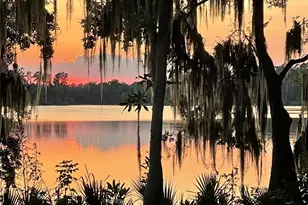 2708 SW 14th Dr, Gainesville, FL 32608 - Photo 32