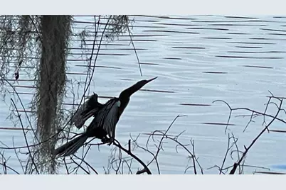 2708 SW 14th Drive #220, Gainesville, FL 32608 - Photo 28