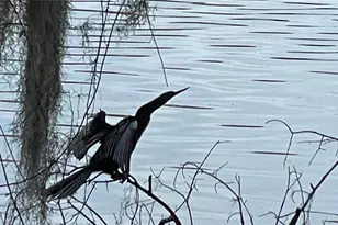 2708 SW 14th Dr, Gainesville, FL 32608 - Photo 28