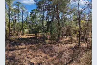 Tbd 00 SE 6th Lane, Williston, FL 32696 - Photo 12