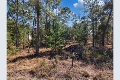 Tbd 00 SE 6th Lane, Williston, FL 32696 - Photo 10