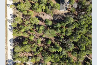 Tbd 00 SE 6th Lane, Williston, FL 32696 - Photo 8