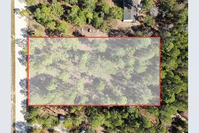 Tbd 00 SE 6th Lane, Williston, FL 32696 - Photo 14