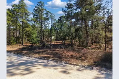 Tbd 00 SE 6th Lane, Williston, FL 32696 - Photo 2