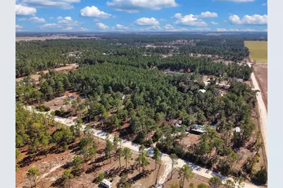 Tbd 00 SE 6th Lane, Williston, FL 32696 - Photo 6