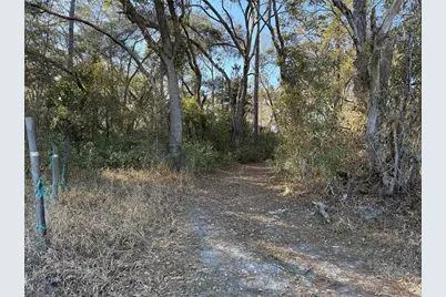 0 NE 126 Street, Bronson, FL 32621 - Photo 1