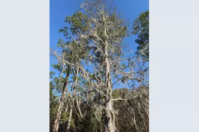 000 NE 126 Street, Bronson, FL 32621 - Photo 10