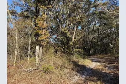 0 NE 126 Street, Bronson, FL 32621 - Photo 2