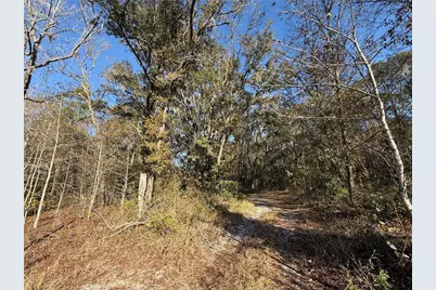 000 NE 126 Street, Bronson, FL 32621 - Photo 8