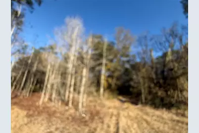 000 NE 126 Street, Bronson, FL 32621 - Photo 12