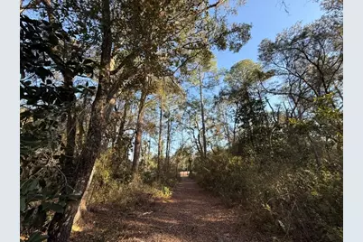 000 NE 126 Street, Bronson, FL 32621 - Photo 1