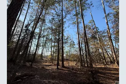 0 NE 126 Street, Bronson, FL 32621 - Photo 4