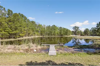 461 SW Bellflower Drive, Lake City, FL 32024 - Photo 4