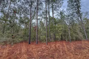 Tbd NW Nw 18 Terrace, Bell, FL 32619 - Photo 1