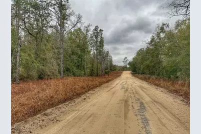 Tbd NW Nw 18 Terrace, Bell, FL 32619 - Photo 2