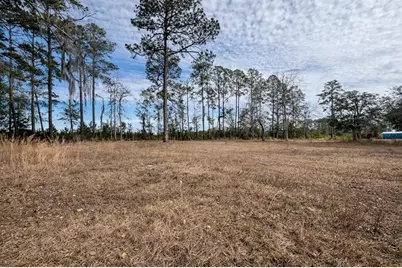 355 SW Marvin Burnett Road, Lake City, FL 32025 - Photo 54