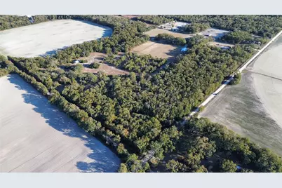 3829 Rodeo Road, Bell, FL 32619 - Photo 8