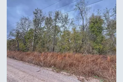 Tbd NW 60 Street NW, Bell, FL 32619 - Photo 1