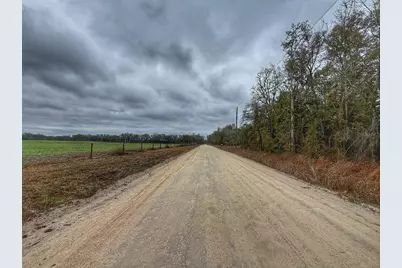 Tbd NW 60 Street NW, Bell, FL 32619 - Photo 2