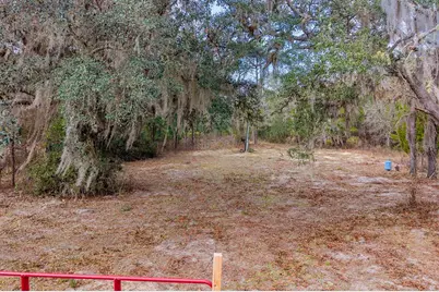 3216 Mill Creek Road, Middleburg, FL 32068 - Photo 4