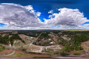 7229 SW County Rd 239A, Lake Butler, FL 32054 - Photo 50