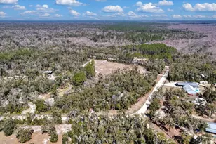 1658 NE 743rd St, Old Town, FL 32680 - Photo 50