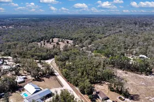 1658 NE 743rd St, Old Town, FL 32680 - Photo 46