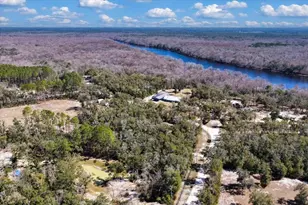 1658 NE 743rd St, Old Town, FL 32680 - Photo 42