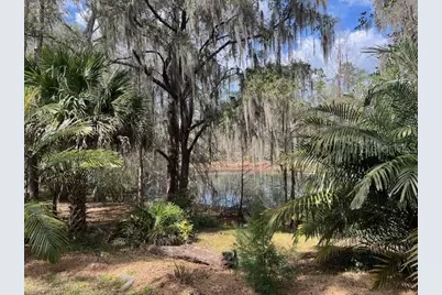 2049 NW 9th Avenue, Gainesville, FL 32603 - Photo 2