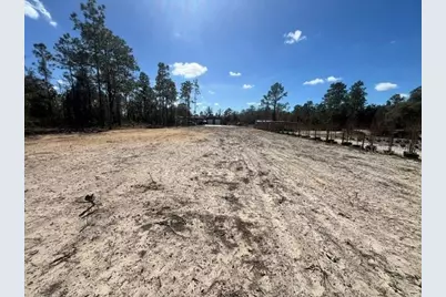 Ne 56 Street, Bronson, FL 32621 - Photo 2