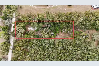 911 SW 5th Street, Trenton, FL 32693 - Photo 4