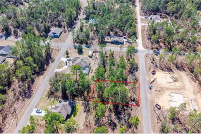 Tbd NE 150th , Lot12 Court, Williston, FL 32696 - Photo 6