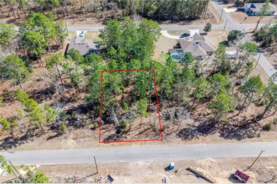 Tbd NE 150th , Lot12 Court, Williston, FL 32696 - Photo 2