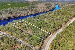 18825 229th Dr, Dowling Park, FL 32060 - Photo 32