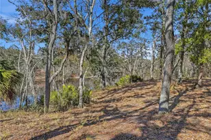 18825 229th Dr, Dowling Park, FL 32060 - Photo 42