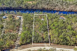 18825 229th Dr, Dowling Park, FL 32060 - Photo 28