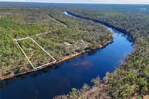 18825 229th Dr, Dowling Park, FL 32060 - Photo 4