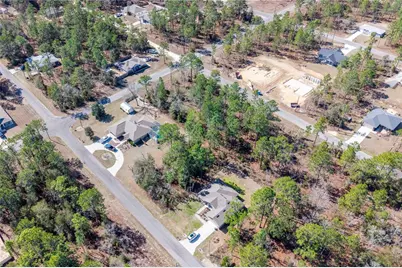 Tbd NE 151st , Lot 7 Avenue, Williston, FL 32696 - Photo 8