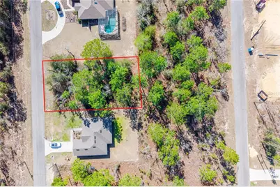 Tbd NE 151st , Lot 7 Avenue, Williston, FL 32696 - Photo 4