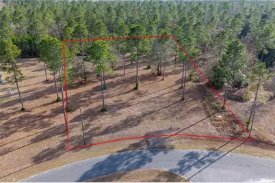 Tbd SE 64th Street, Lake Butler, FL 32054 - Photo 1