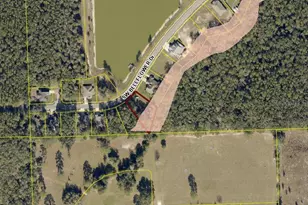 569 SW Bellflower Dr, Lake City, FL 32024 - Photo 2