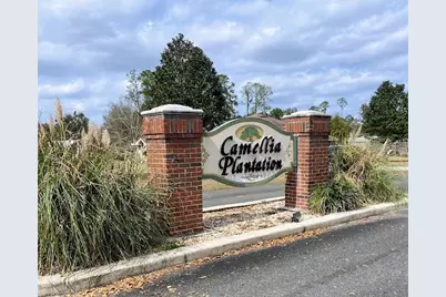 Tbd SW 9th Street, Williston, FL 32696 - Photo 4